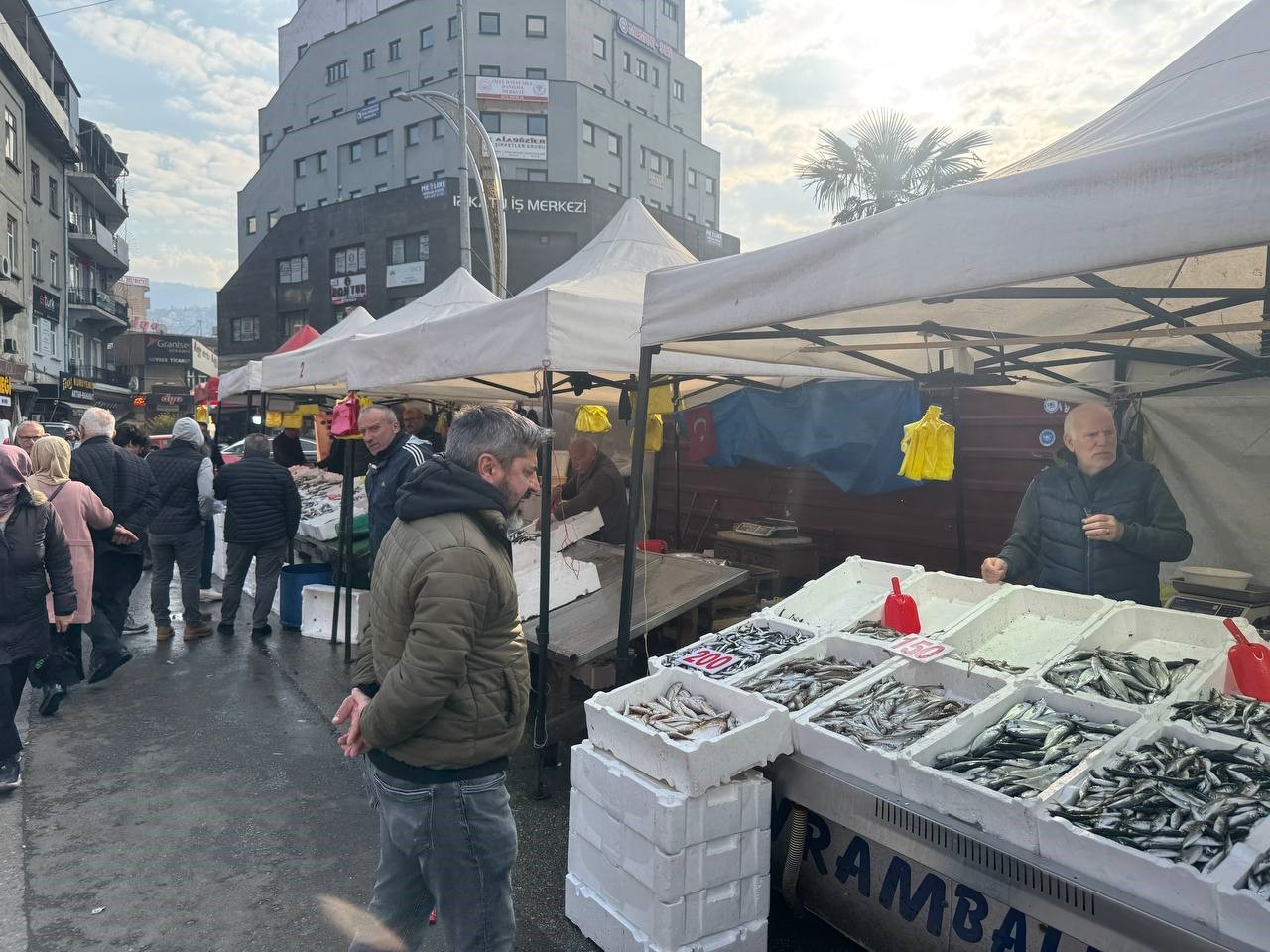 Zonguldak’ta istavrit tezgahları şenlendirdi