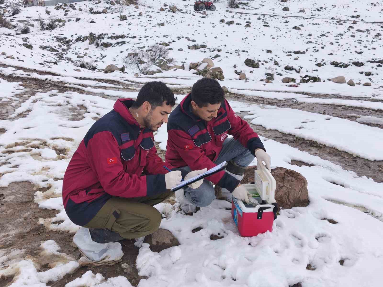 Çemişgezek’te veteriner hekimlerin şapla mücadelesi sürüyor