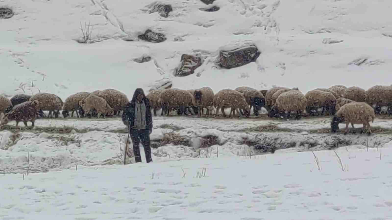 Van’da kar yağışı etkili oldu