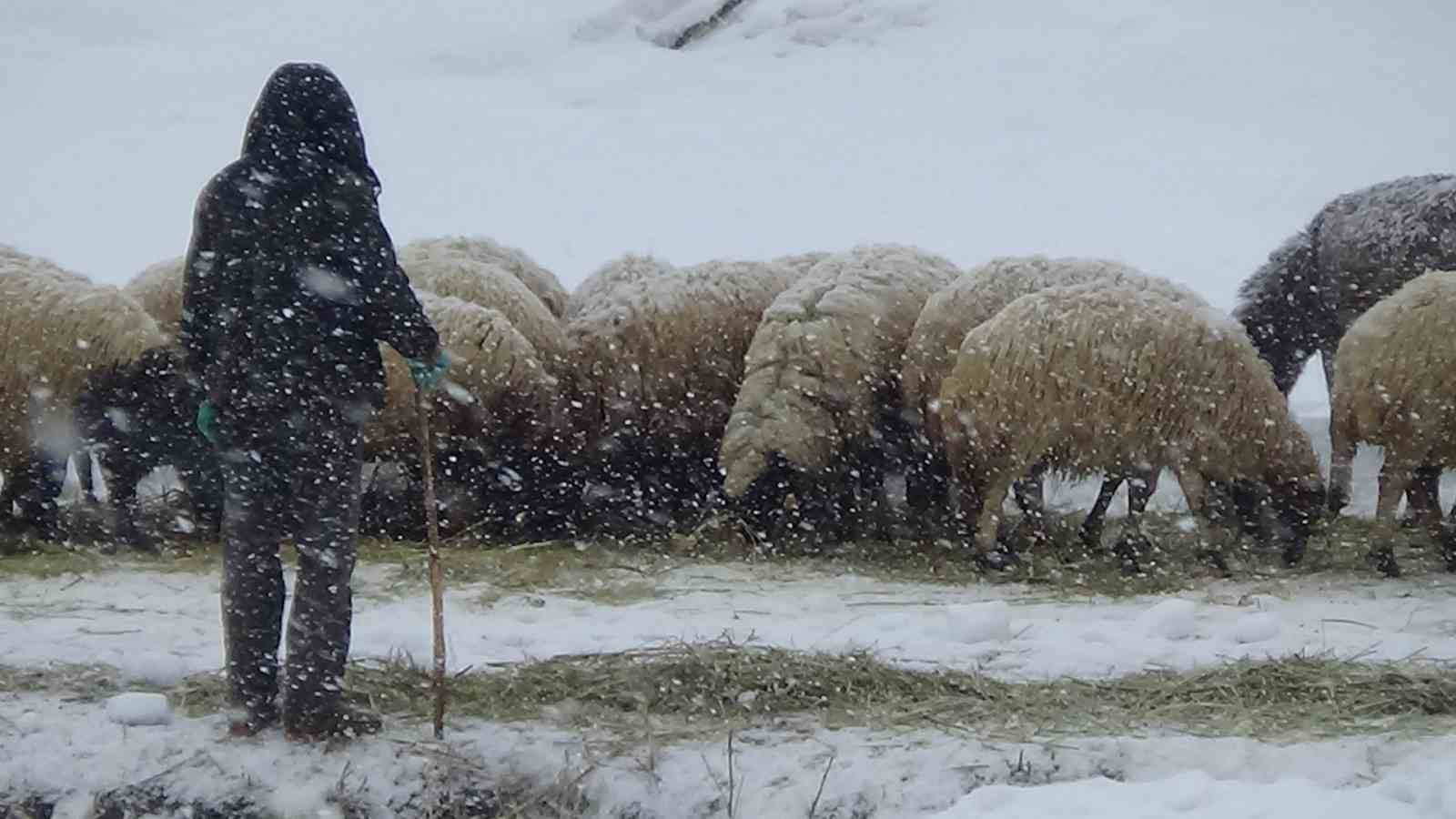 Van’da kar yağışı etkili oldu